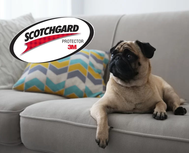 Blog Protector Textil Scotchgard de 3M
