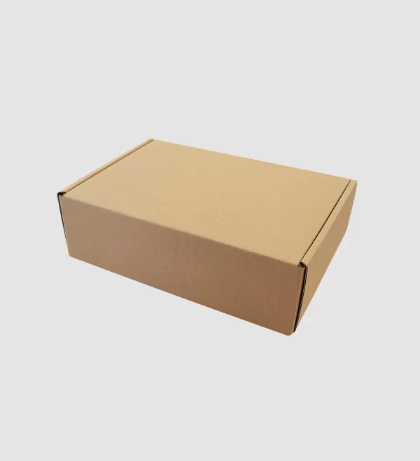 Caja Autoarmable 5x16x23cms (2) Caja Autoarmable 5x16x23cms